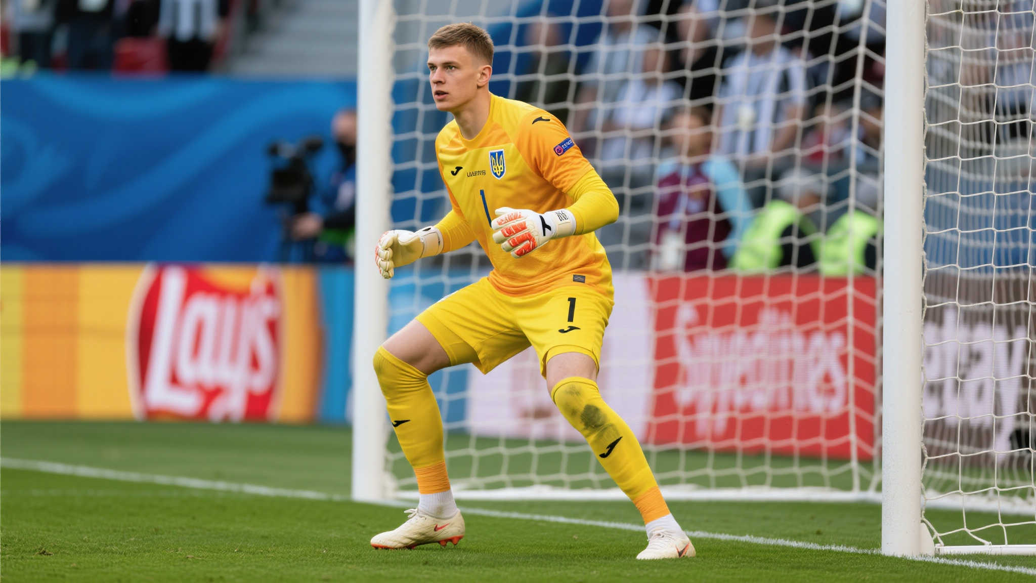 进步给予了 进步给予了